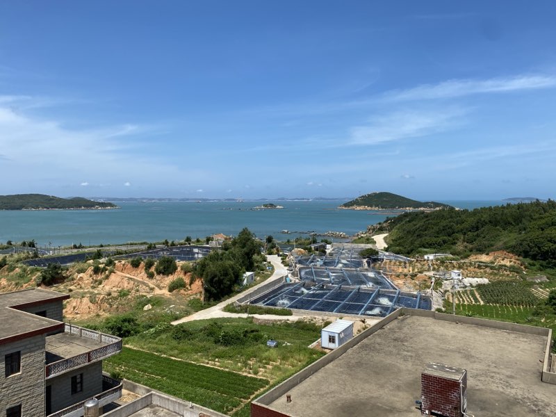 厦理学子三下乡实践报告：品味“海亮”发展成果，见证乡村