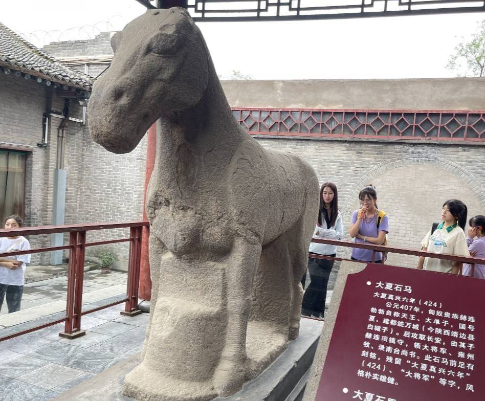 西农学子三下乡|寻脉中华传统，助力文化传承
